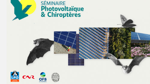 seminaire_photovoltaique_et_chiropteres.png